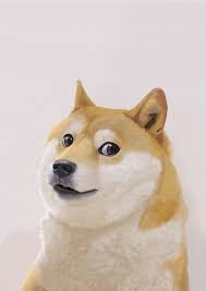 doge