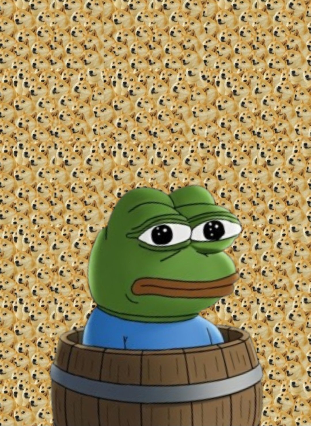 1000037024.jpg