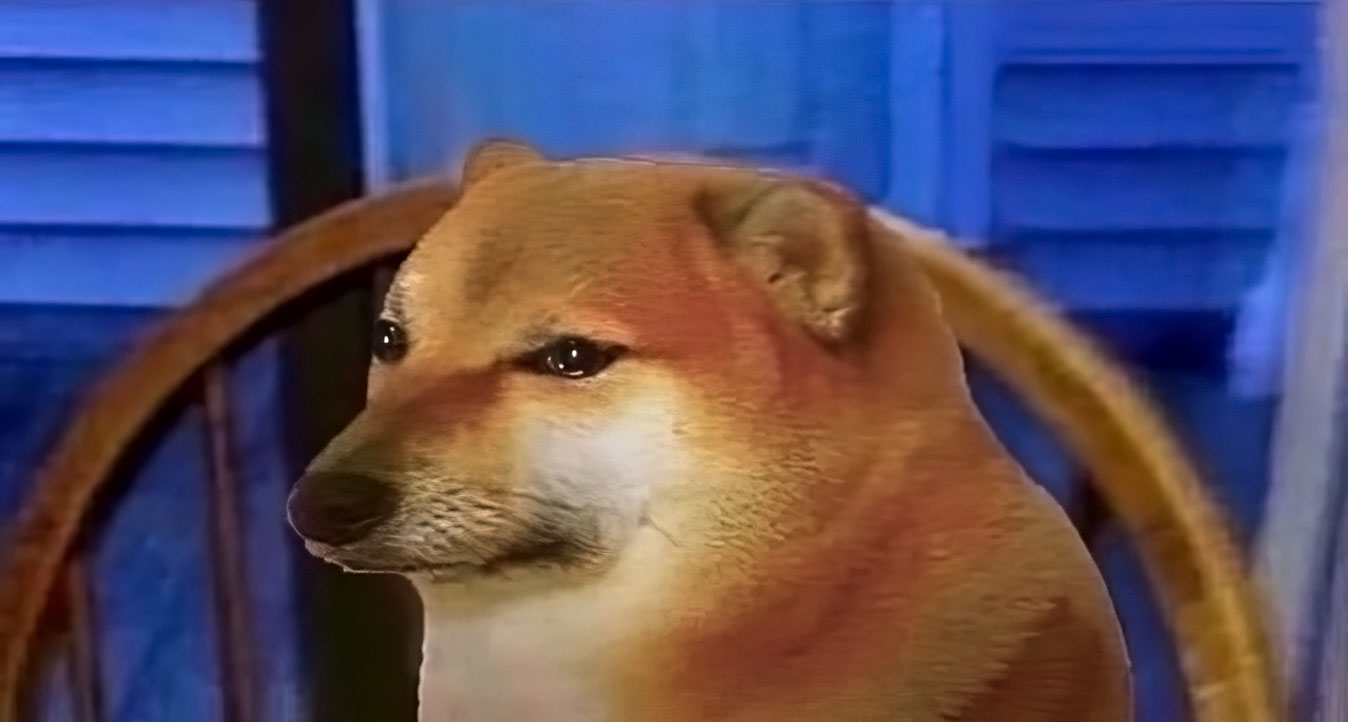 Doge triste.jpg