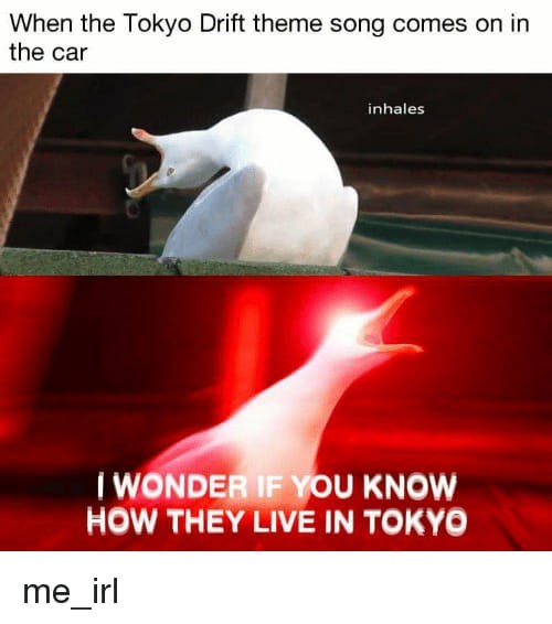 bird-tokyo-drift-theme-song-comes-on-car-inhales-wonder-if-know-they-live-tokyo-me_irl.jpg