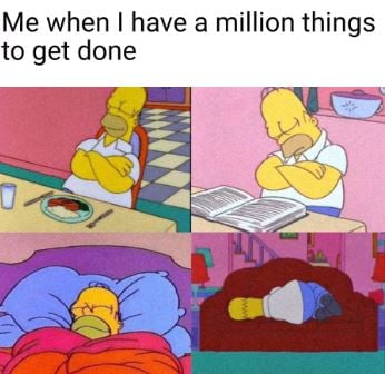 homer sleeping.JPG