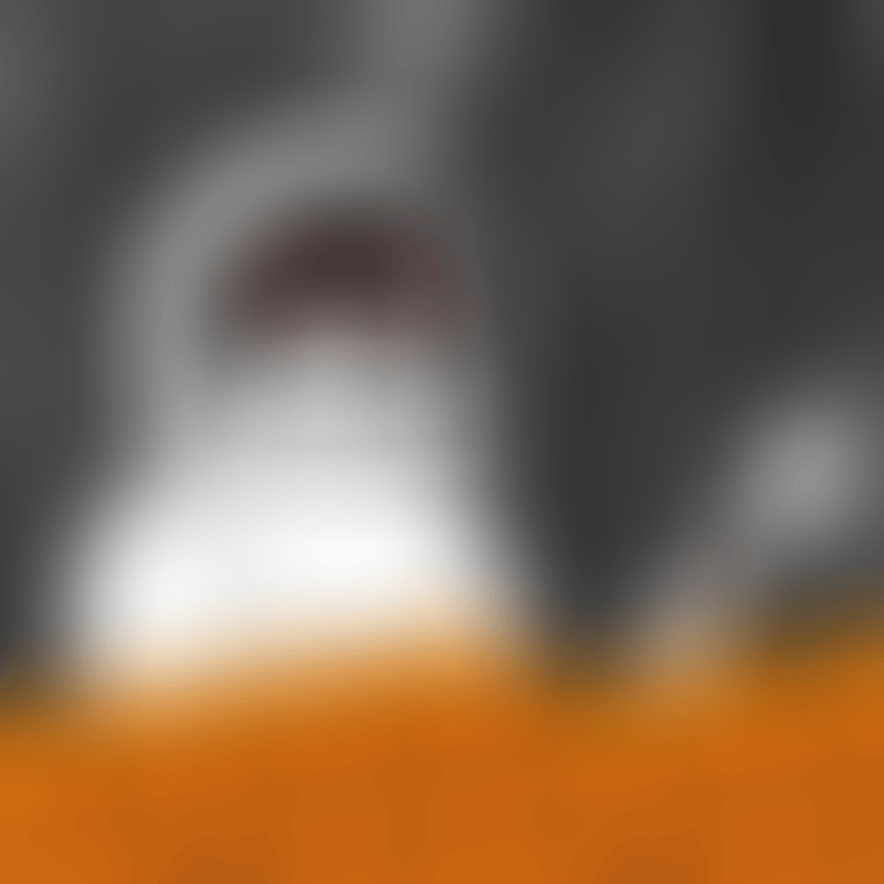 Pooka_Wall.gif