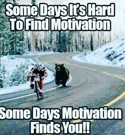 Motivation