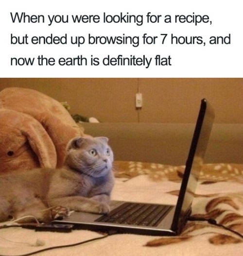 flat-earth-funny-memes-1-5b33a28b6f4f4__700.jpg
