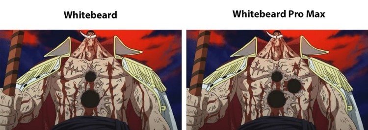 096-one-piece-whitebeard-pro-max-meme.jpg