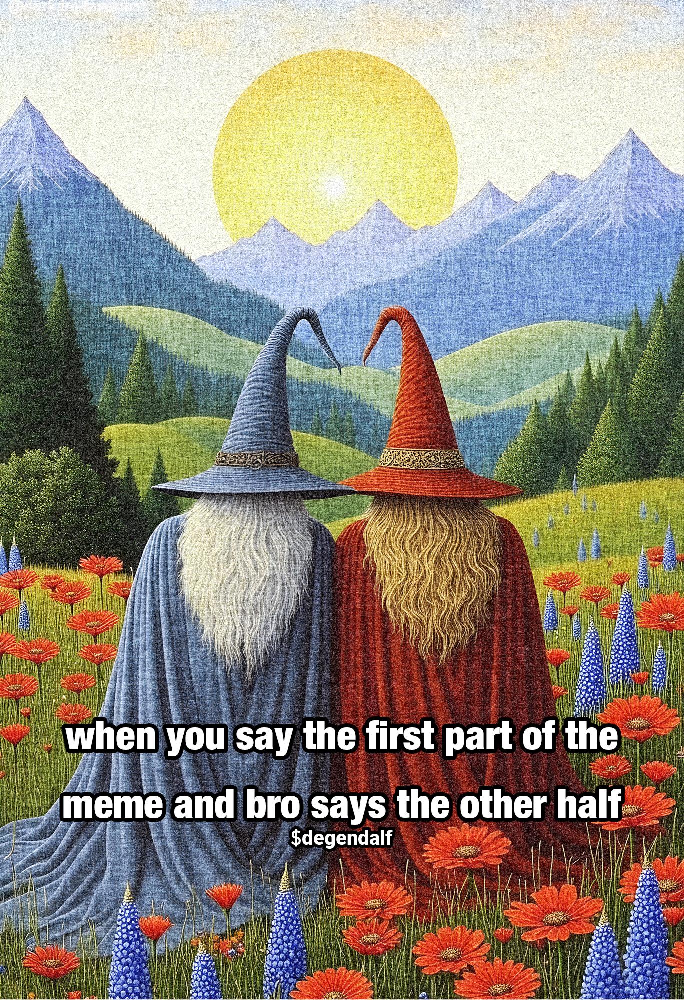 when you say the first part of the meme and bro says the other half 1.jpg