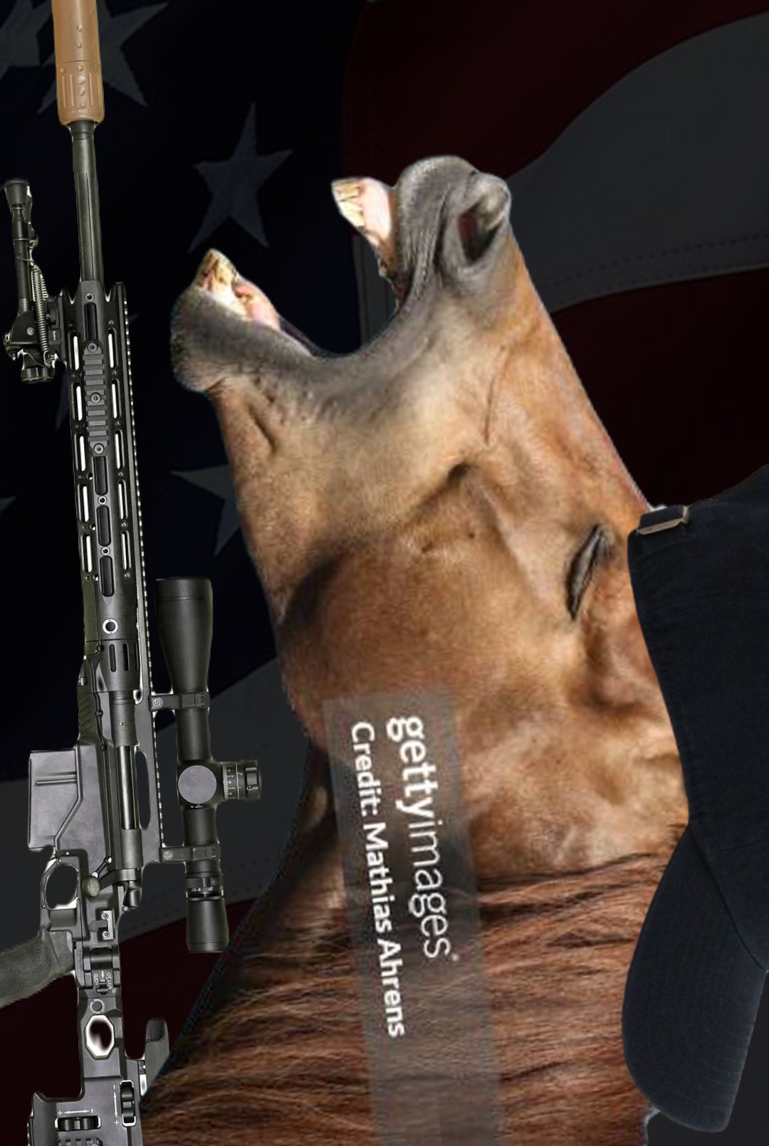 HoldingGuns2.jpg