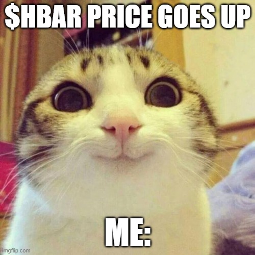 HBAR price goes up