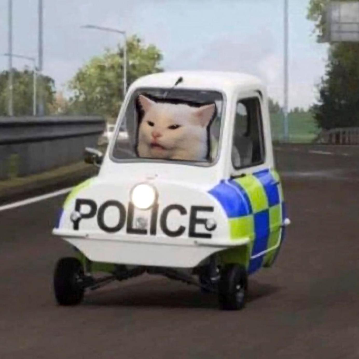 Cat police.jpg