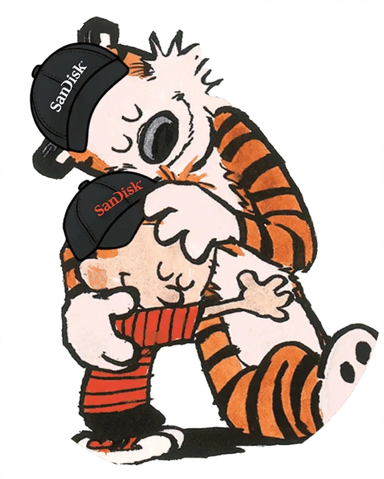 media-generation-calvin-hobbes-sandisk-hats-4-0-cc70c690-6b66-4105-ae02-aeb181039e8f.webp