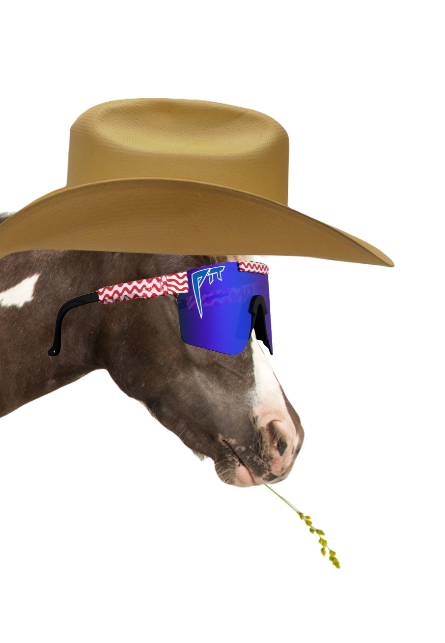 CowBoy_horse.png
