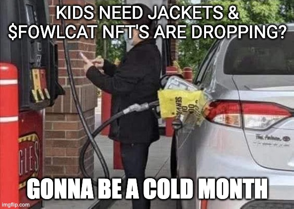 $FOWLCAT cold winter.JPG