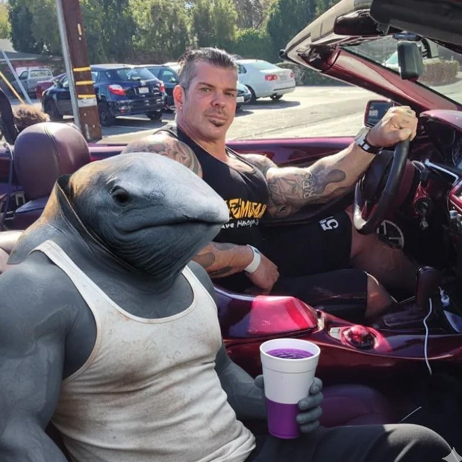 G7fHxMRWgAA-AqO.jfif