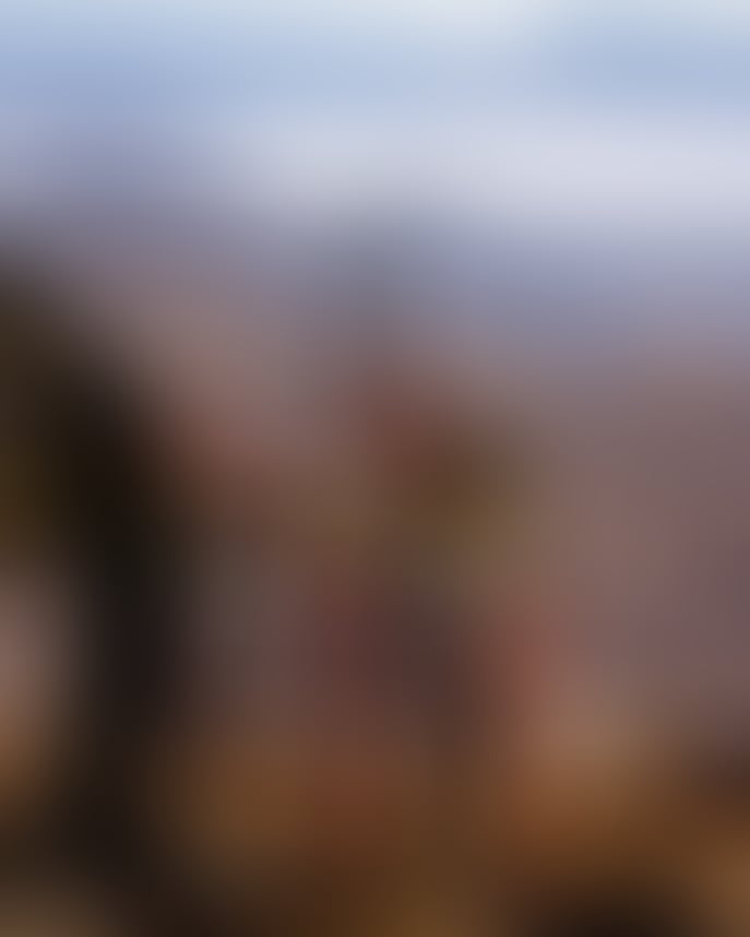 IMG_3909.jpeg