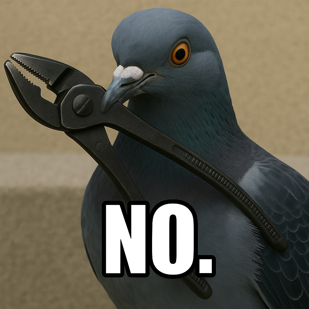 sqmazasfr8rkbr5zm7u4.png