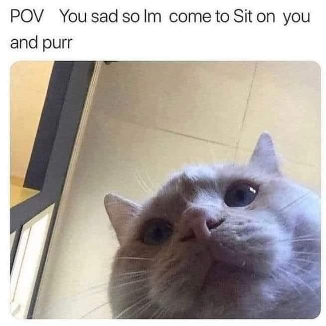 F32TUY4XUAAc0Xy.png