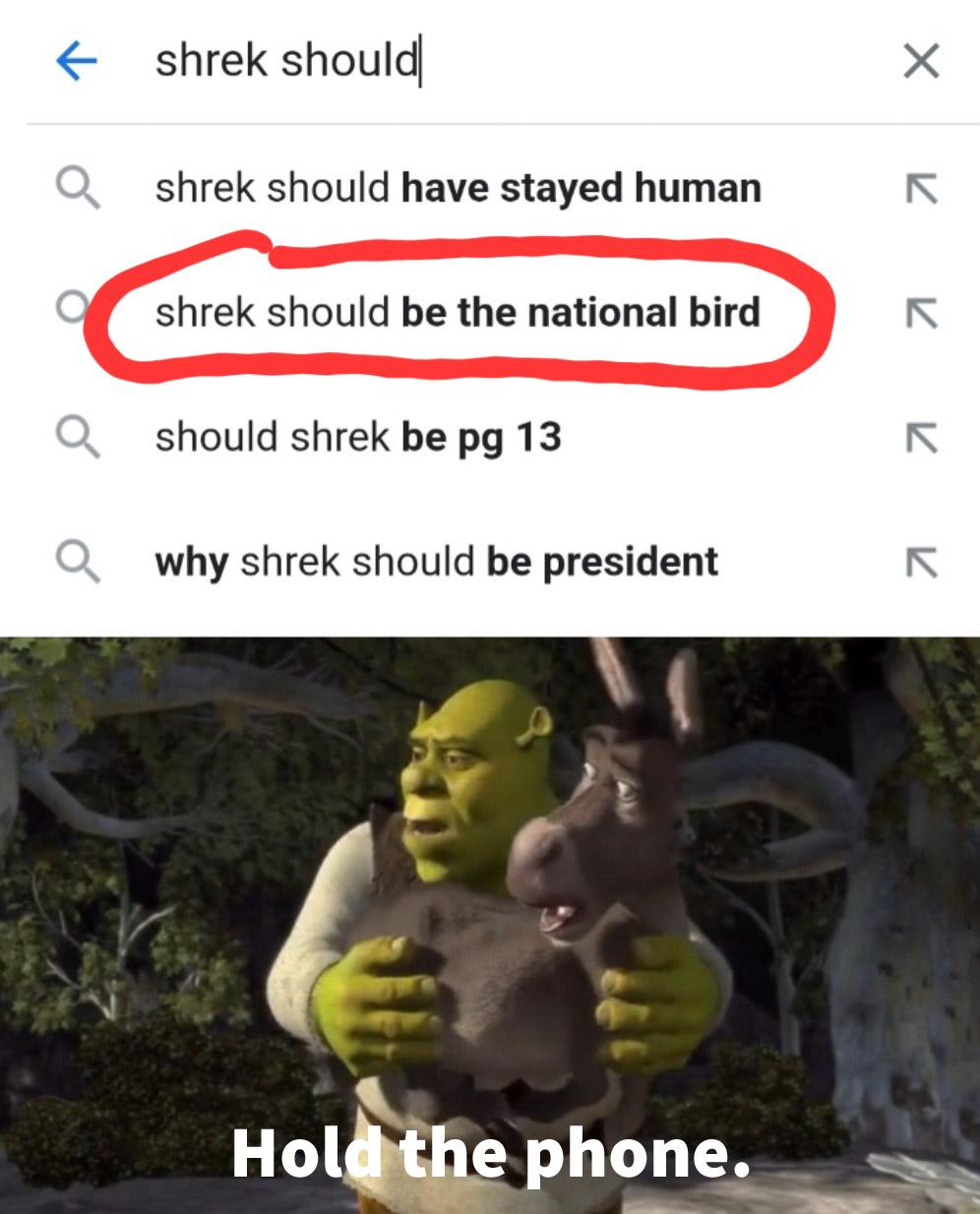 136go0t-Making_a_meme_from_every_line_in_Shrek__2001__Day_490-vm3u75ykxmxa1.jpg