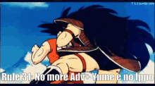 dragon-ball-z-rule.gif