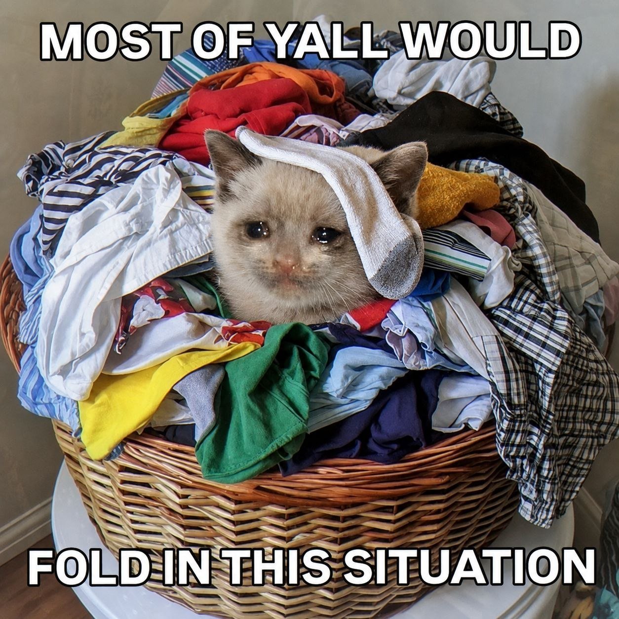 IMG_3814.jpeg
