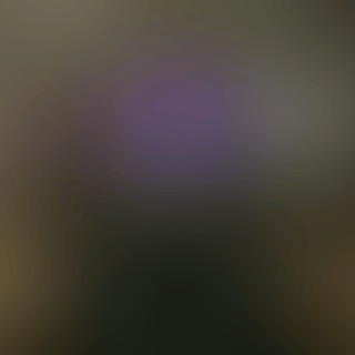 copy_2F42BB9C-23A4-4CAA-B544-51D07F75D41D.gif