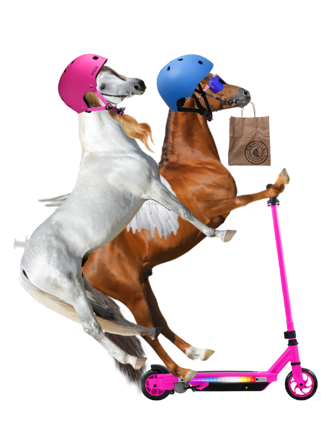 Both_On_Scooter_chipotle.png