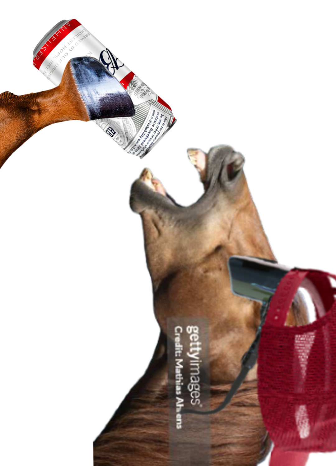 horsechugbeer.png