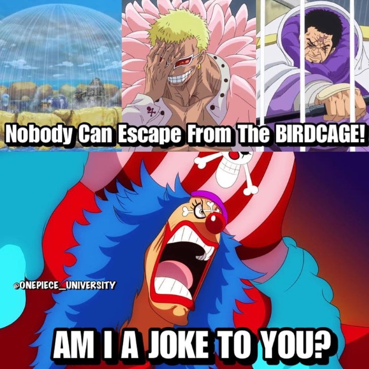 023-one-piece-bird-cage-meme.jpg