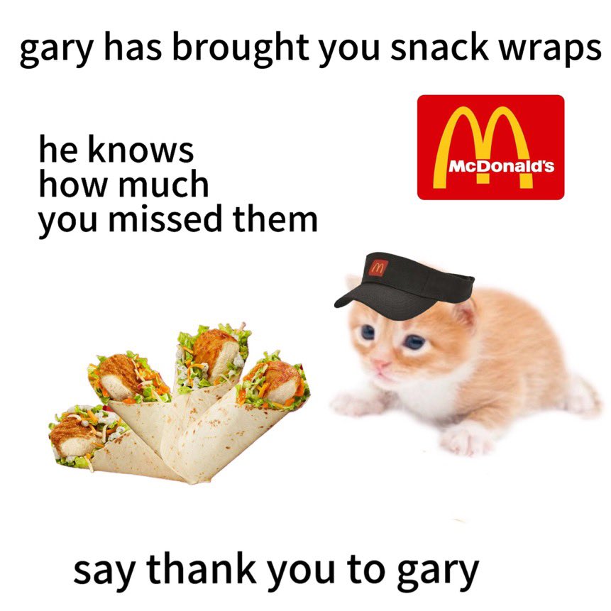snack wraps.jpg