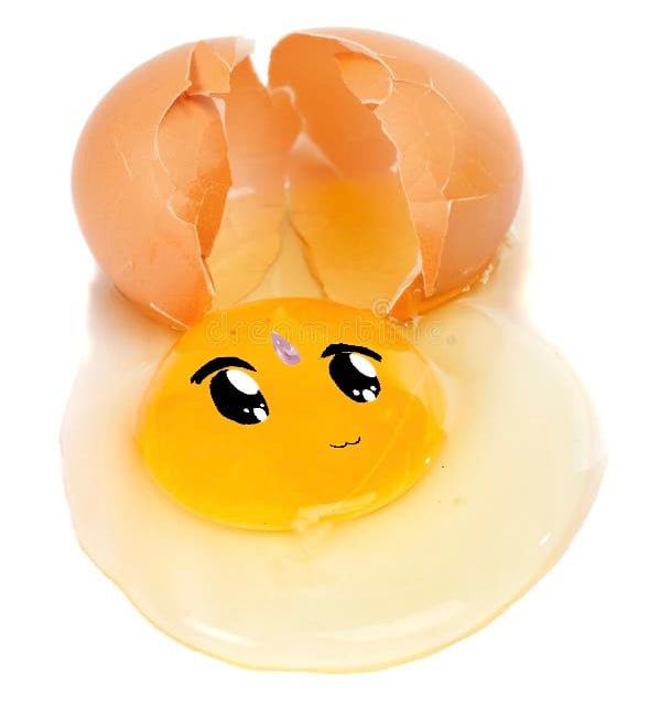 egg.jpeg