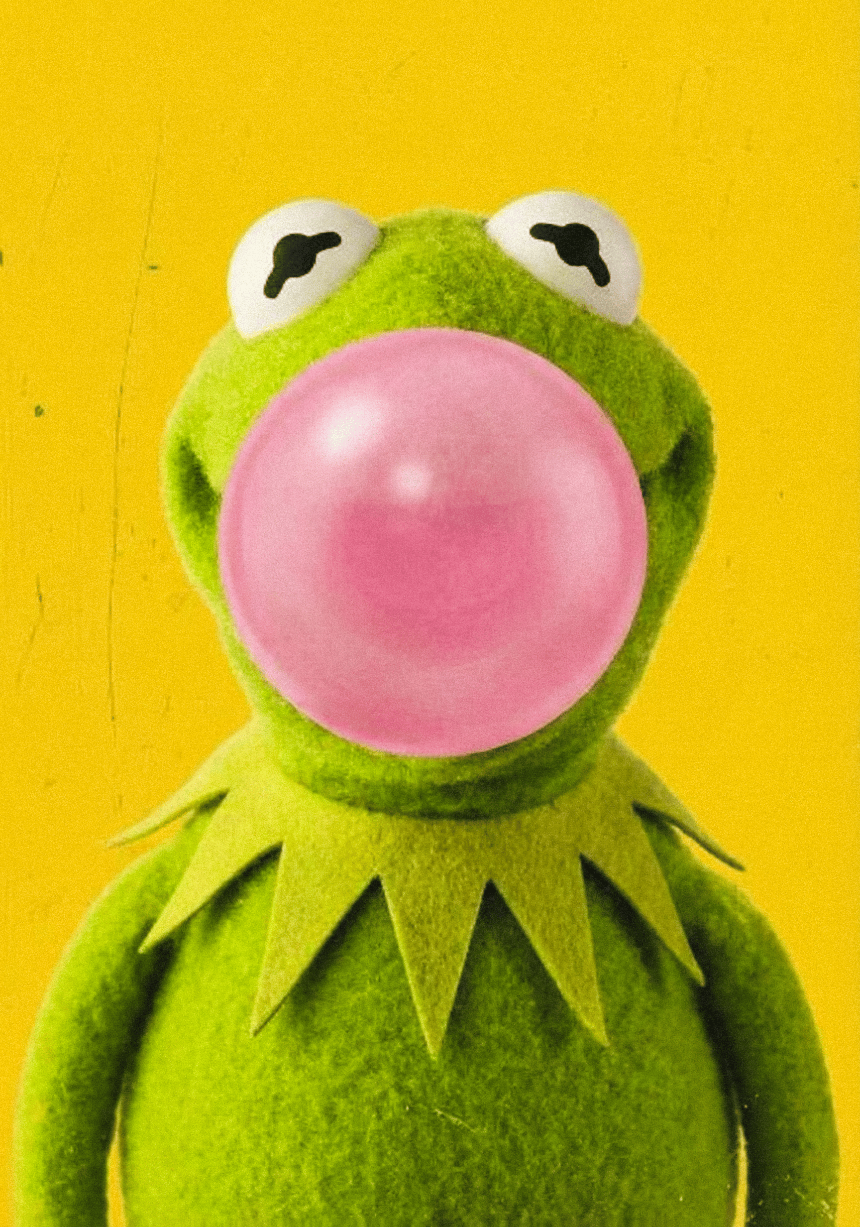 Kermit Bubblegum 