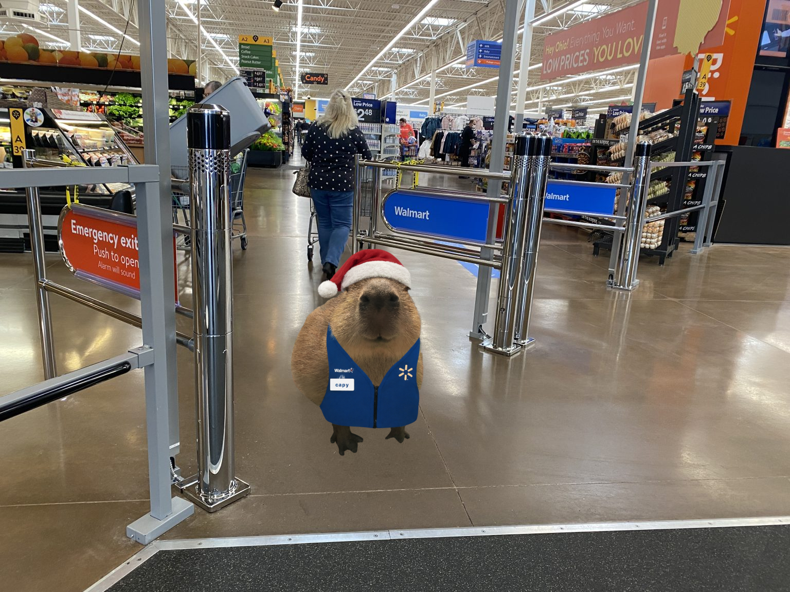 capy_walmart_holiday.png