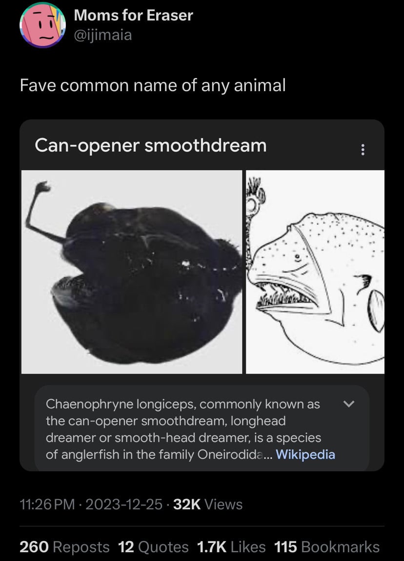 can-opener smooth dream.jpg