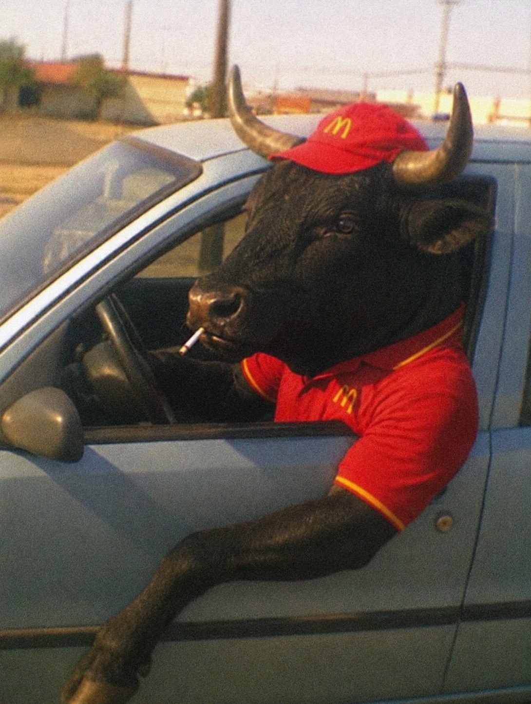 McDonalds Bull