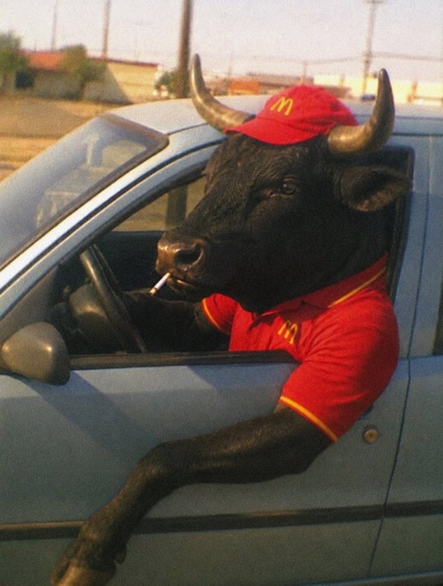 McDonalds Bull