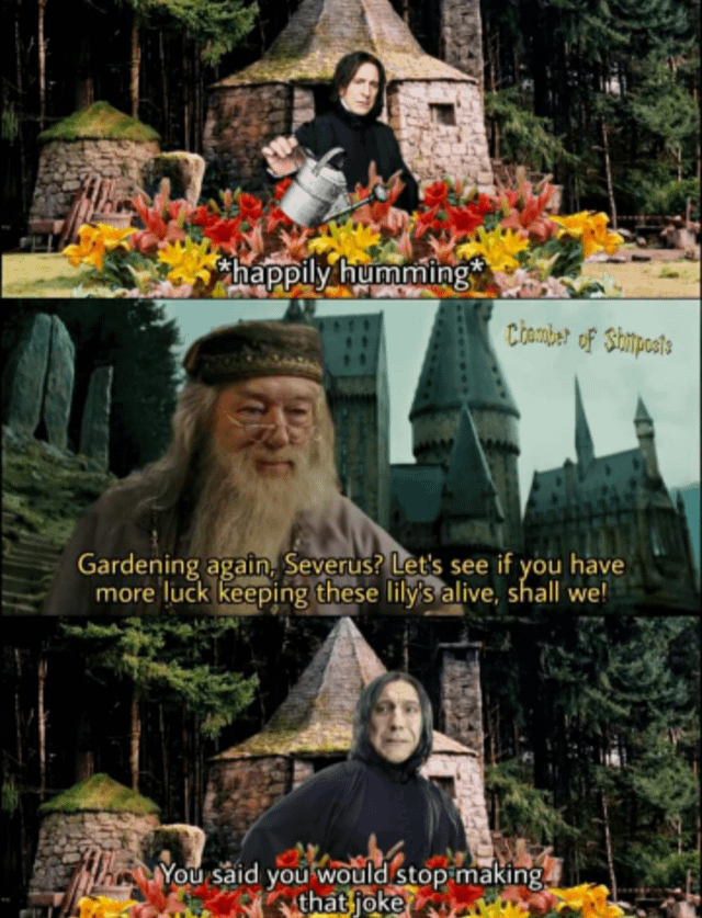 2jbelsn2cfb61.png