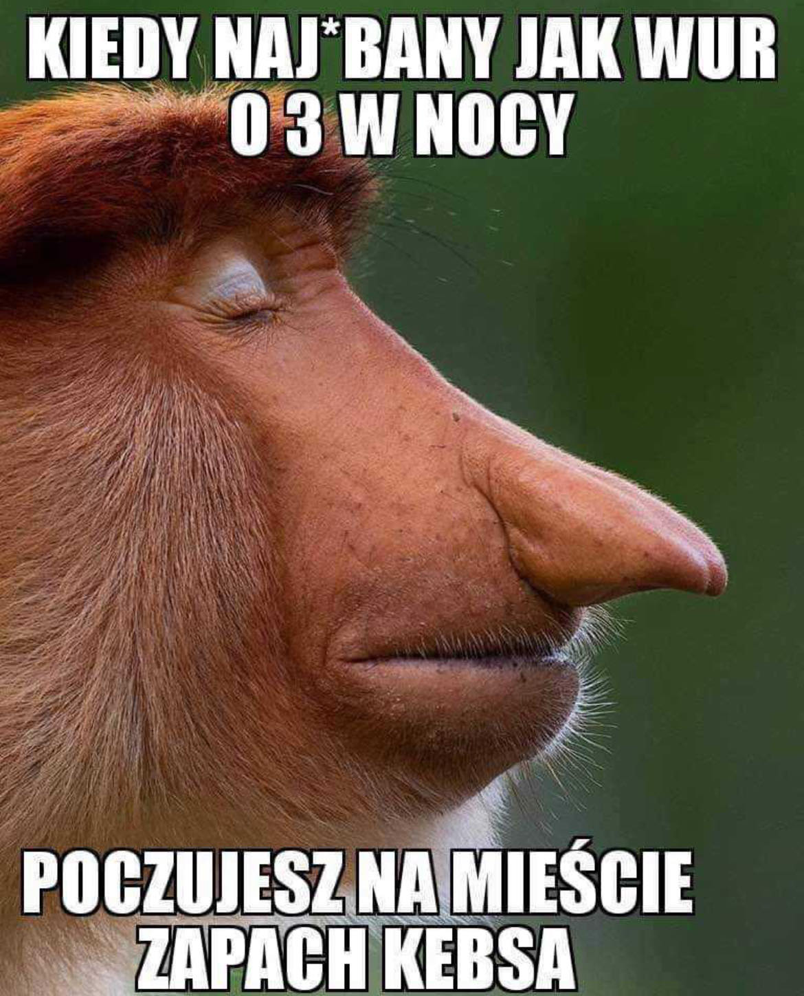 Polish Memes