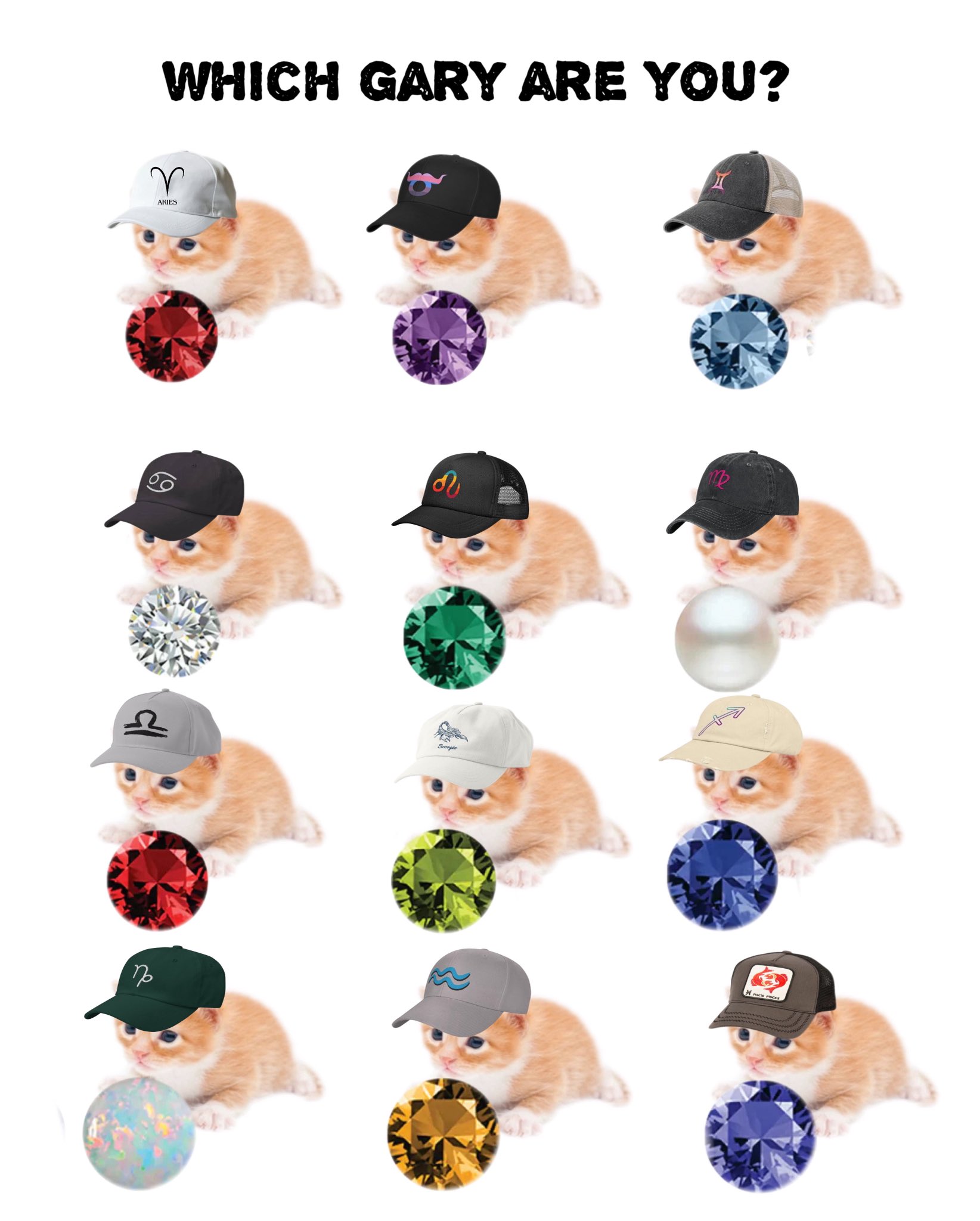 which gary are you.jpg