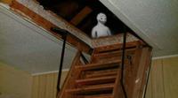 wojak-hiding-in-house-attic-thumbnail.jpg