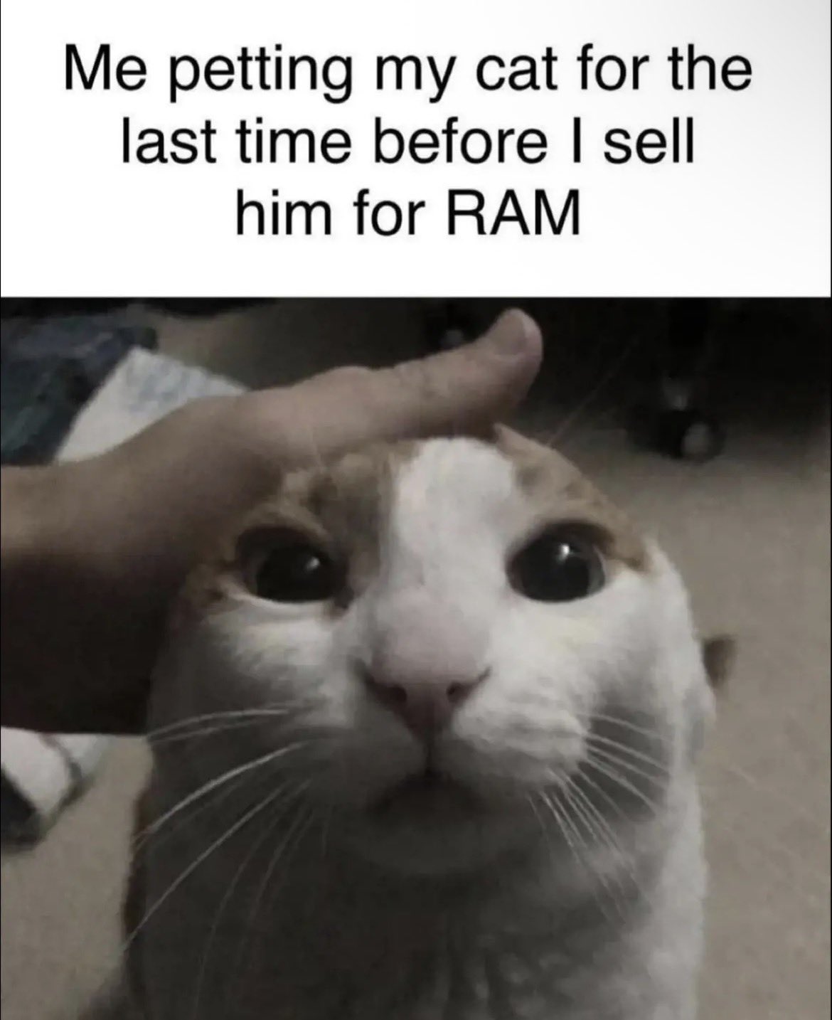 G8OXBG9WcAAD7UN.jpeg