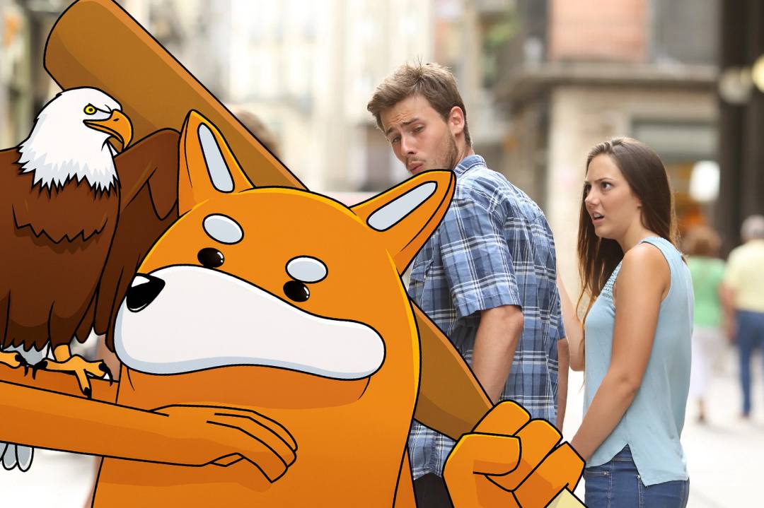 photo_2025-09-07 11.00.38.jpeg