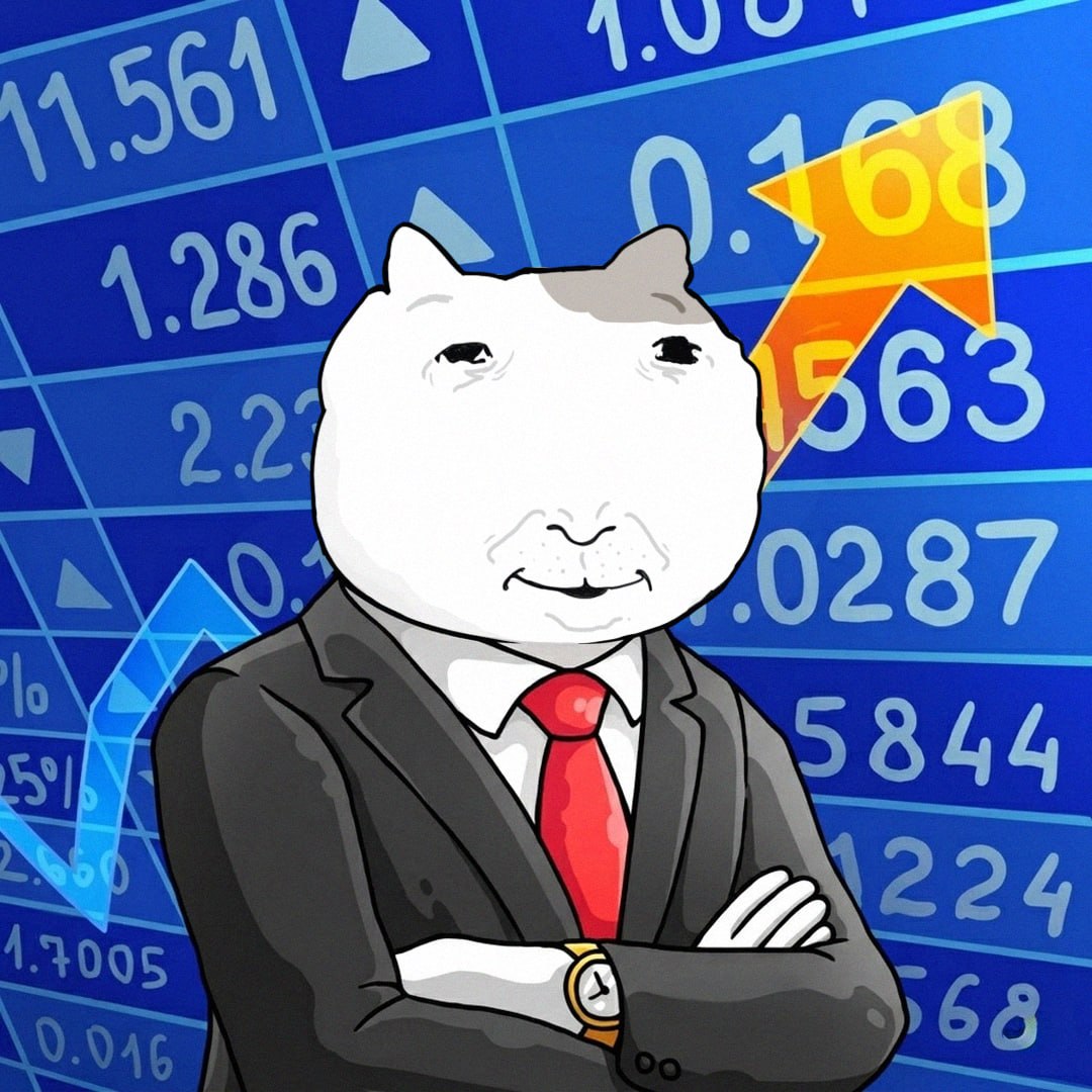 2026-04-11 03.36.08.jpg