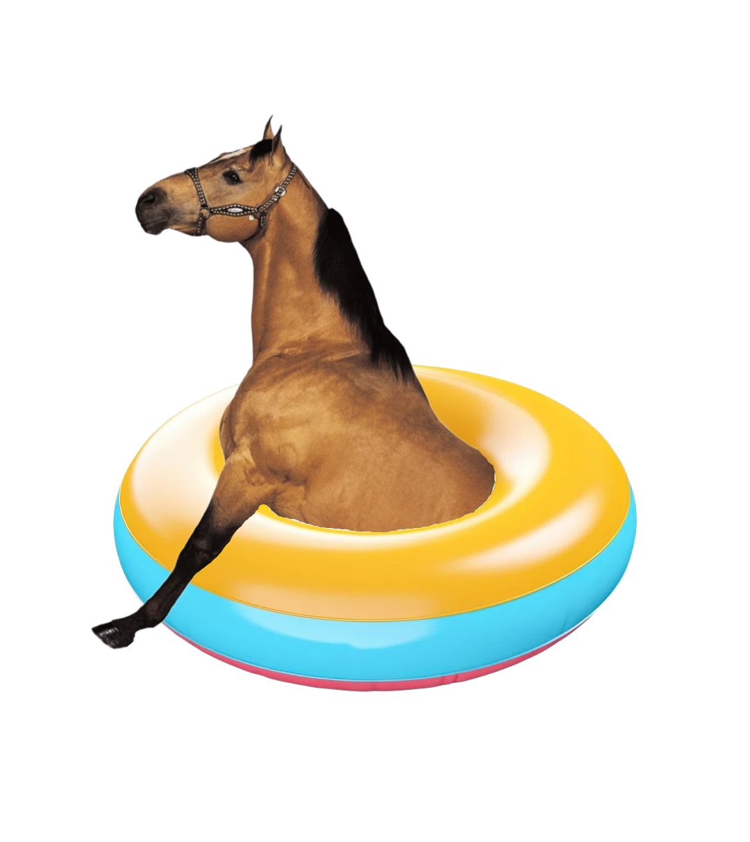 HorseTube.png