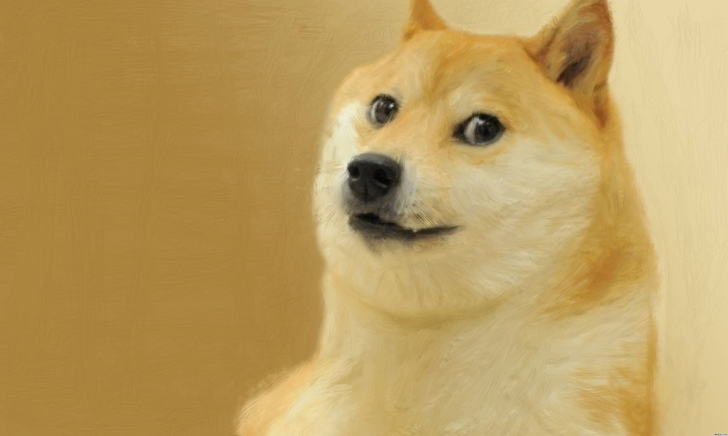 doge.jpg