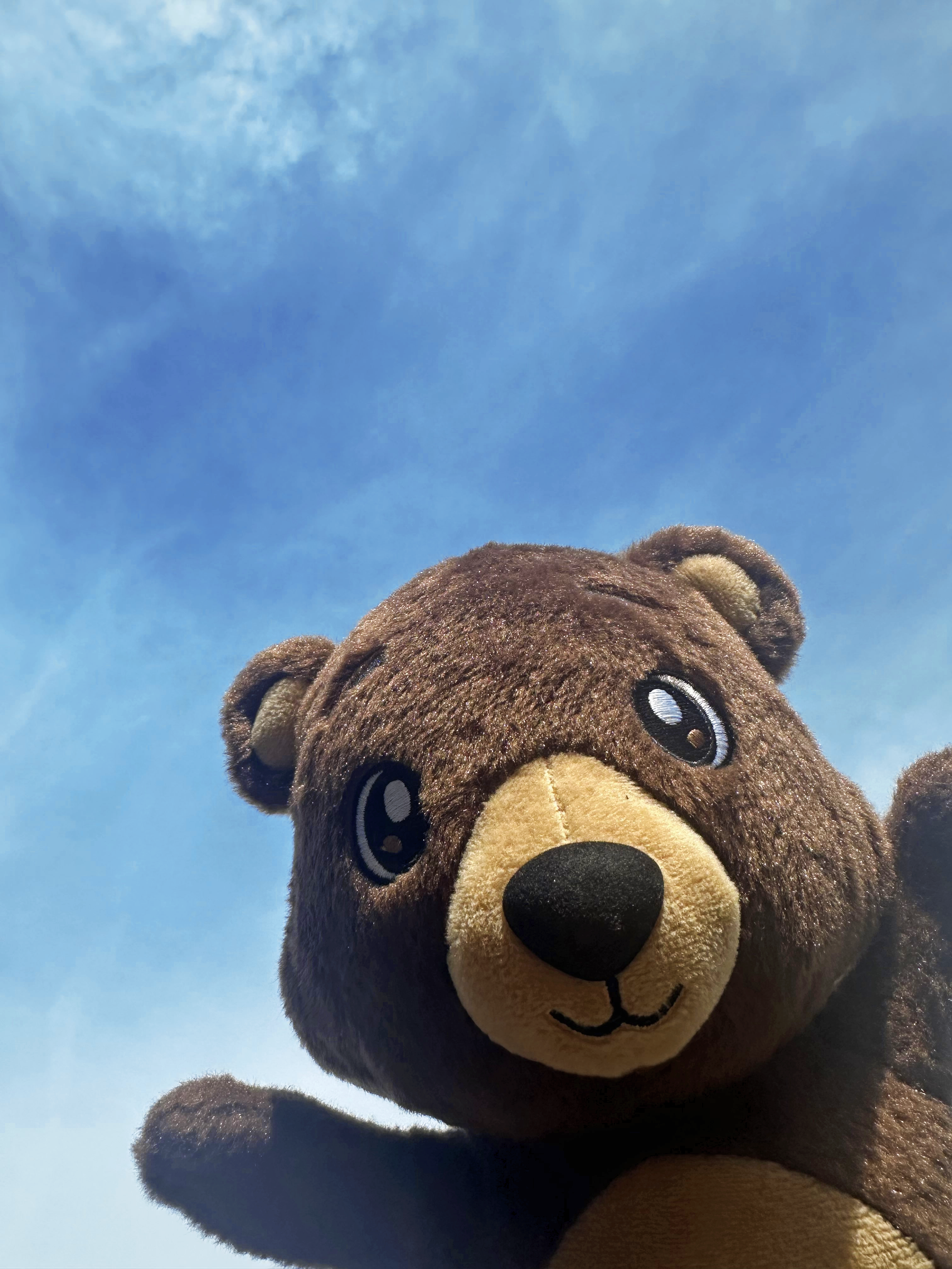 tony plushie hi 2.png