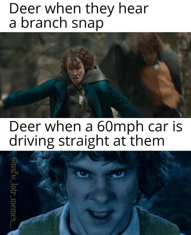 deer.png