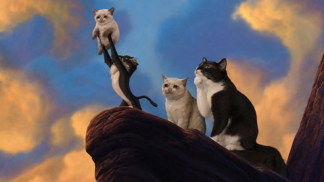 Kitten King