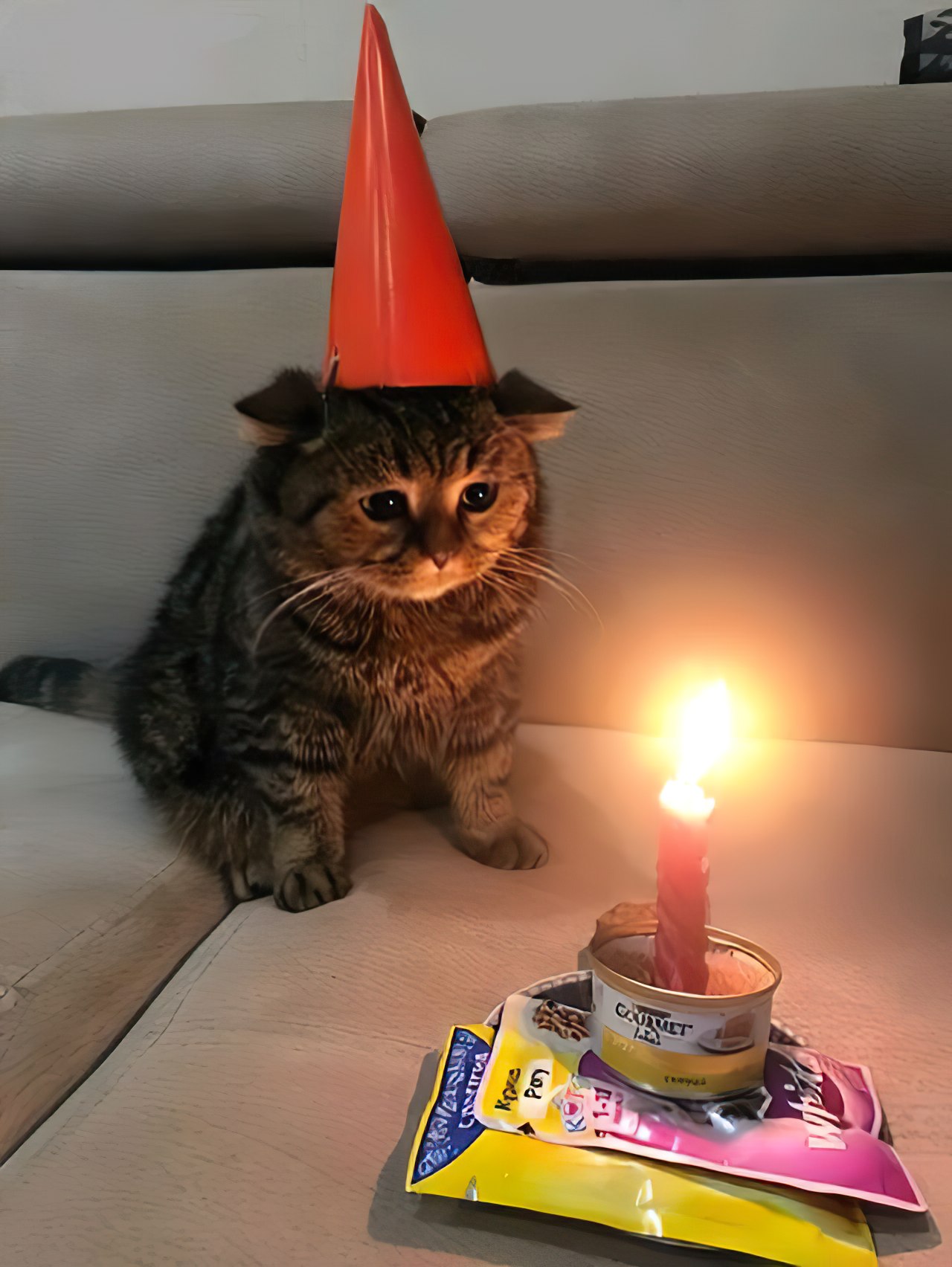 Sad Birthday Cat - Hat Candle Cake - Chat Cat Triste Anniversaire Bougie Paté.jpg