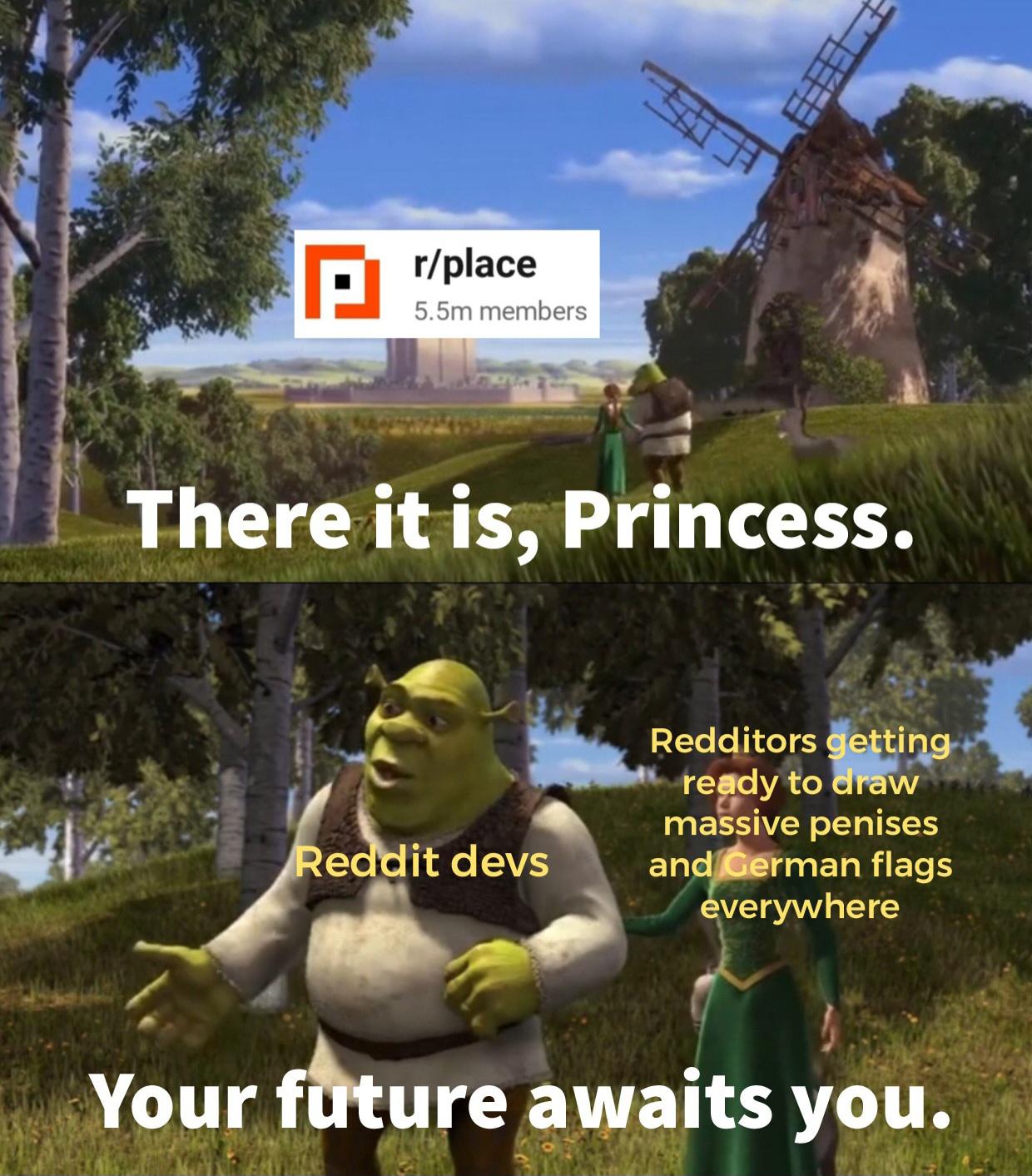 154r59k-Making_a_meme_from_every_line_in_Shrek__2001__Day_533-az4mqs1uh4db1.jpg