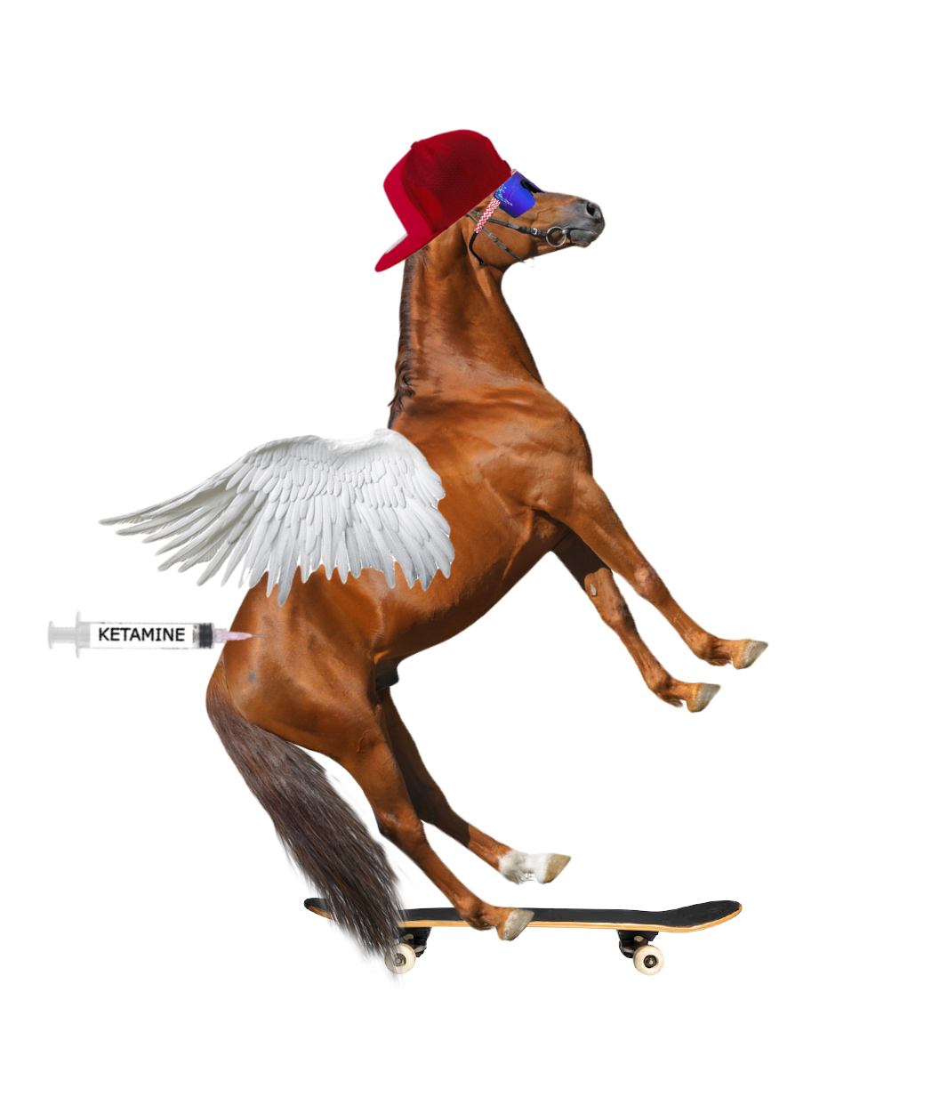 Horse_skateboard.png