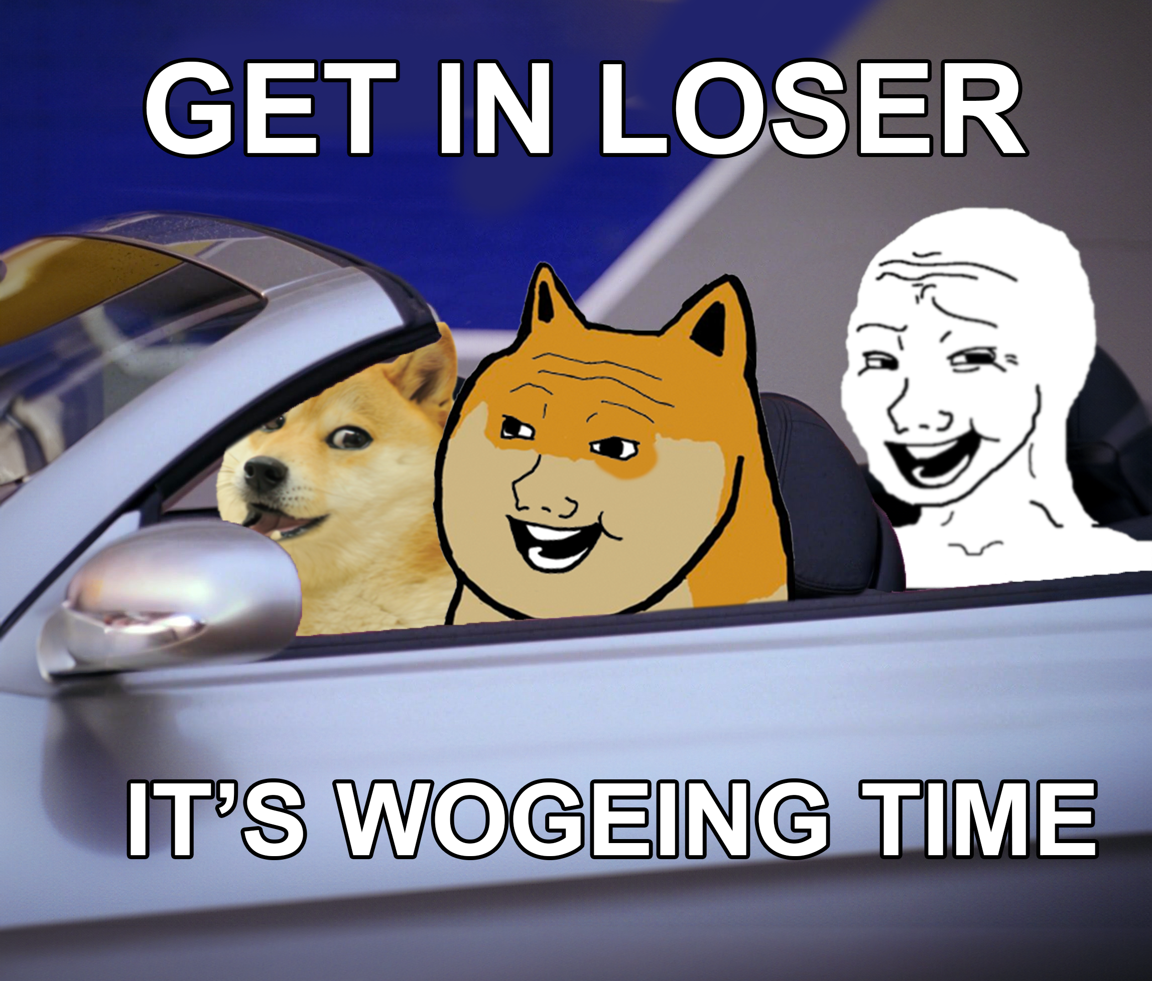 woge-get-in-loser-memecoins.png